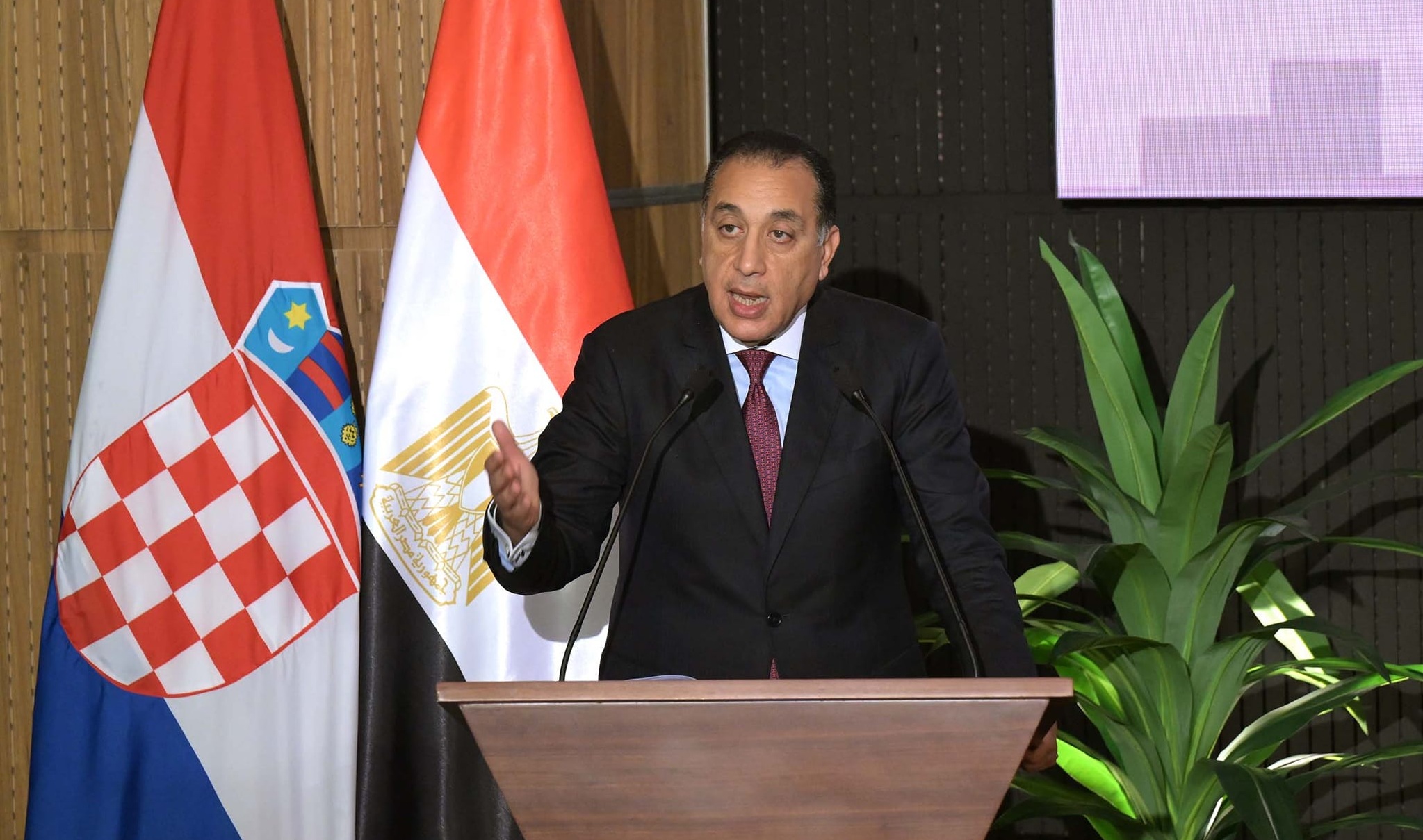 Egypt seeks to establish fast Ro-Ro line with Croatia to enhance trade, logistics